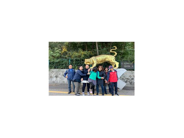 프로그램 활동